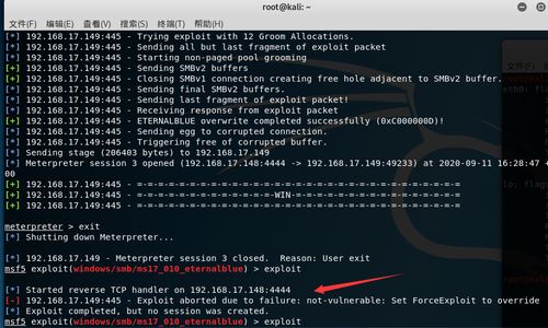 Kali Linux系統(tǒng)下防御永恒之藍(lán)勒索病毒實戰(zhàn)指南 網(wǎng)絡(luò)安全工程師的技術(shù)服務(wù)詳解